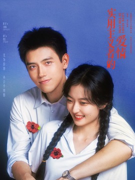 实用主义的爱情封面图